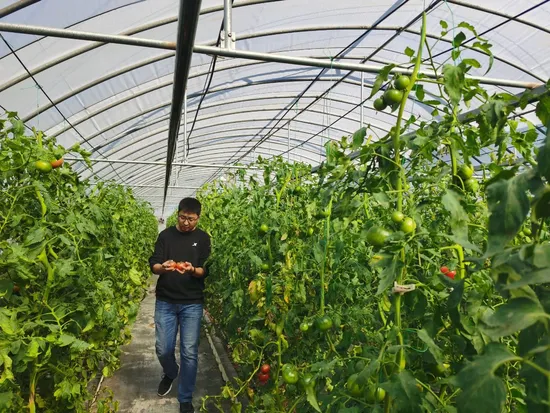 10000m2 Agrícola/Comercial/Multi